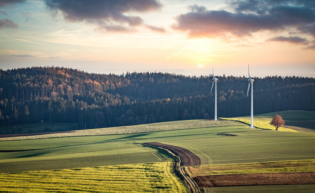 windmills-5767549_1280.jpg