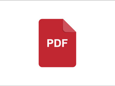 PDF icon in red with border.jpg